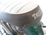 Triumph Bonneville 2001 - Bild 30